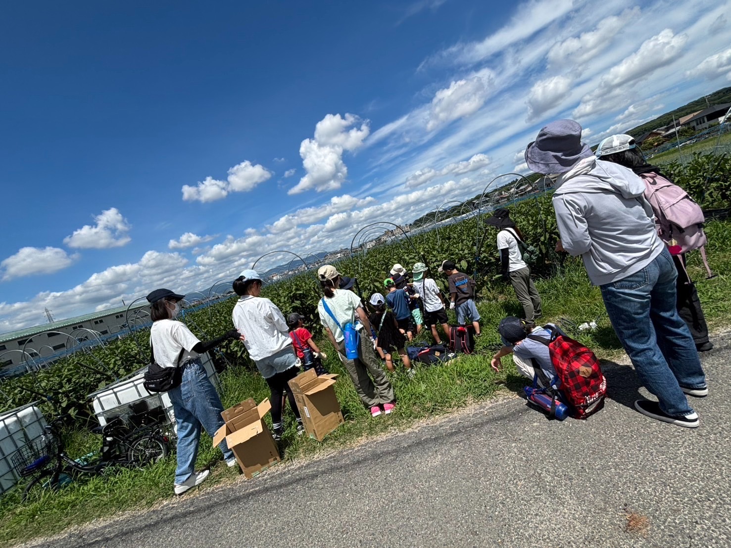 line_oa_chat_250911_115651